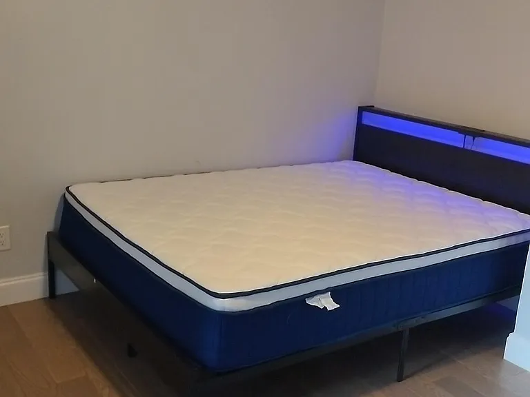 Furnished bedroom featuring a platform bed, ceiling fan with light, and durable wood-look flooring for easy upkeep.