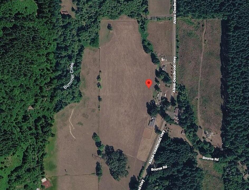 1st image of Tl1100 Block 24 Alsea Deadwood Hwy