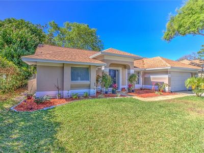 6228 Boone Dr, Tampa, FL, 33625