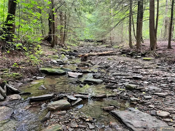 9467 Sawmill Run Rd, Little Valley, NY 14755