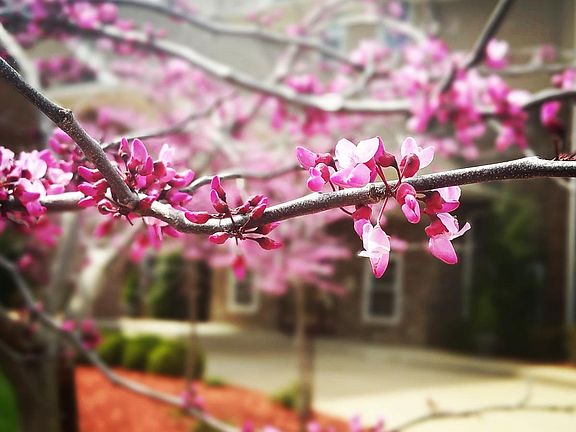 Welcome To The Springs