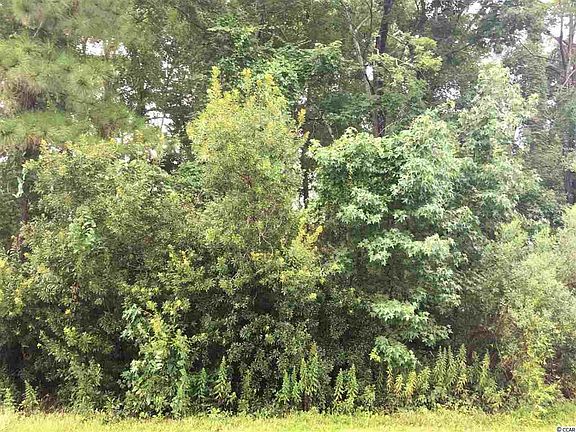 2nd image of 1024 Plantation Dr. Lot 540