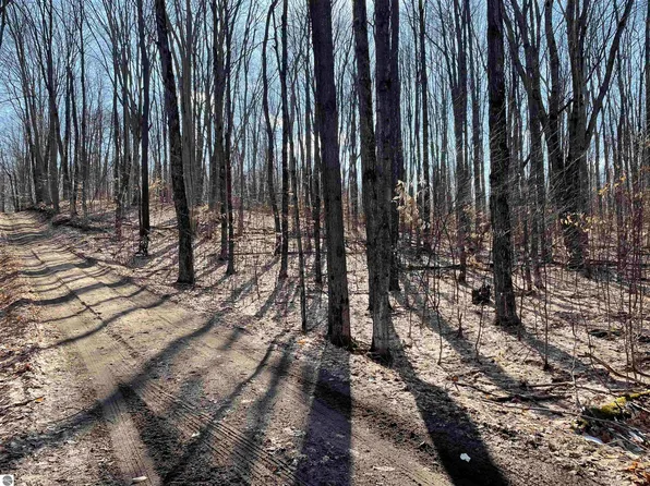 0 Dirt Rd, Mesick, MI 49668