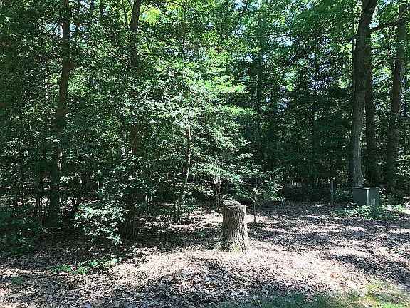 Electric on site, septic app