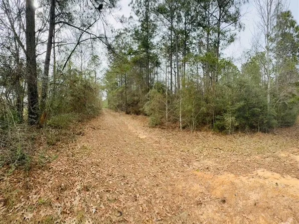 0 Road St, Chunchula, AL 36521