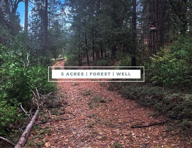 8600 Skunk Hollow Ln, Rail Road Flat, CA, 95248