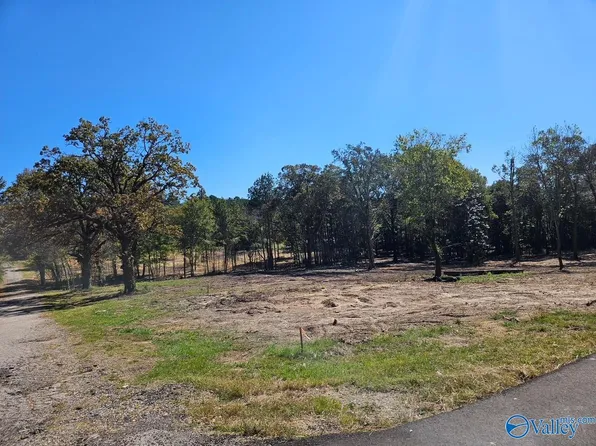 1 Pratt Ave, Centre, AL 35960