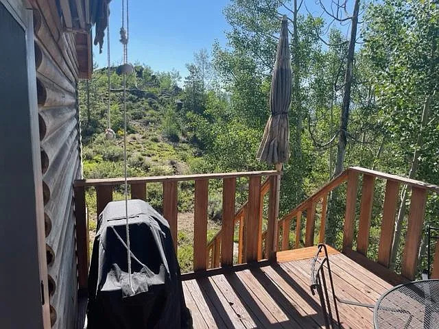 204 Pine View Dr — Photo 9