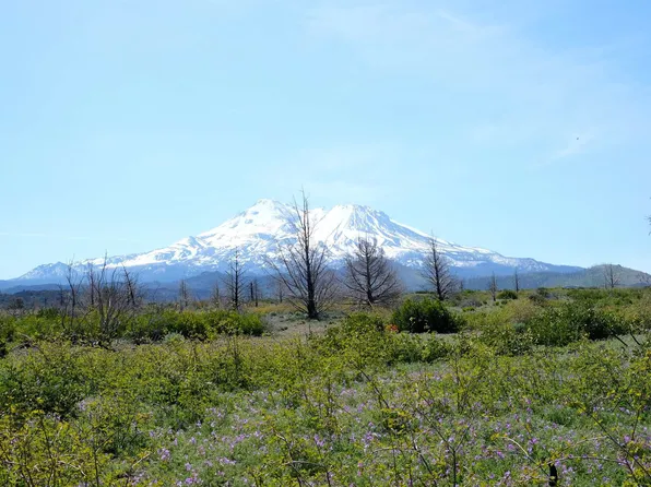LOT 46 Juniper Valley Cir, Weed, CA 96094