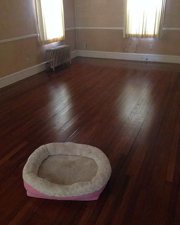Newly refinished wood floors
