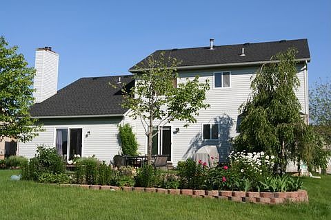 view from the backyard