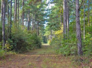 0 Fm 223 Rd, Shepherd, TX 77371