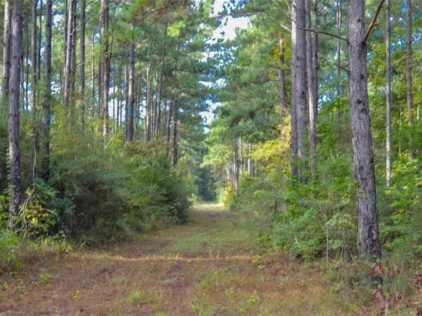 0 Fm 223 Rd, Shepherd, TX 77371