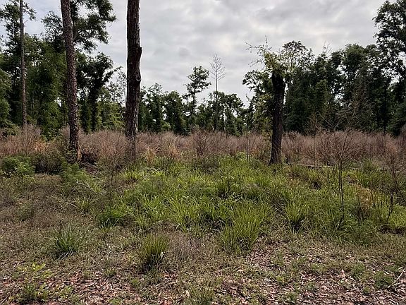 3rd image of NE Willow Bend Loop