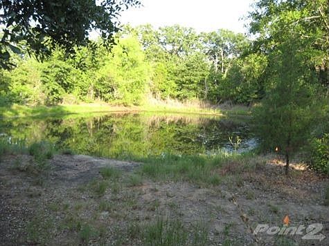 57377 Pond, great fishing