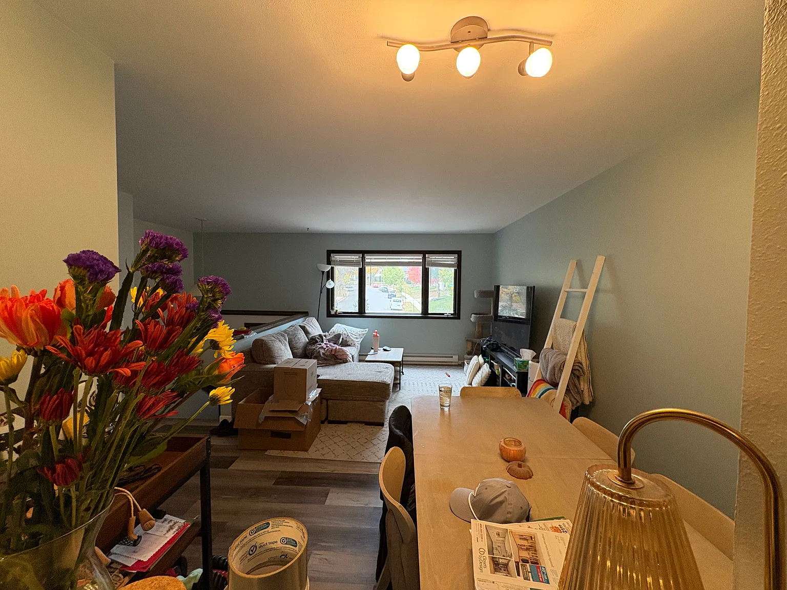 2954 Turbot Dr — Photo 1