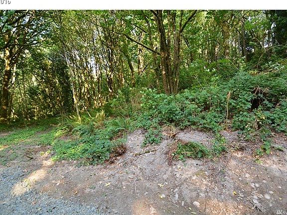 5th image of 0 Carrolls Ave