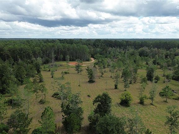 4th image of 78238 Higgens Rd
