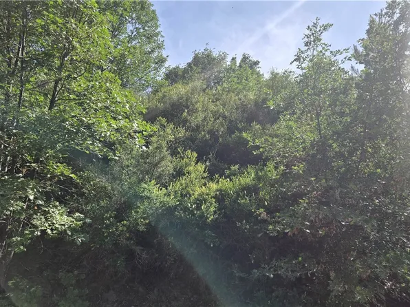 987 Elder Dr, Cedar Glen, CA 92321