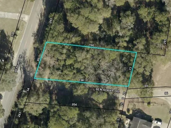 TBD Petigru Dr., Pawleys Island, SC 29585