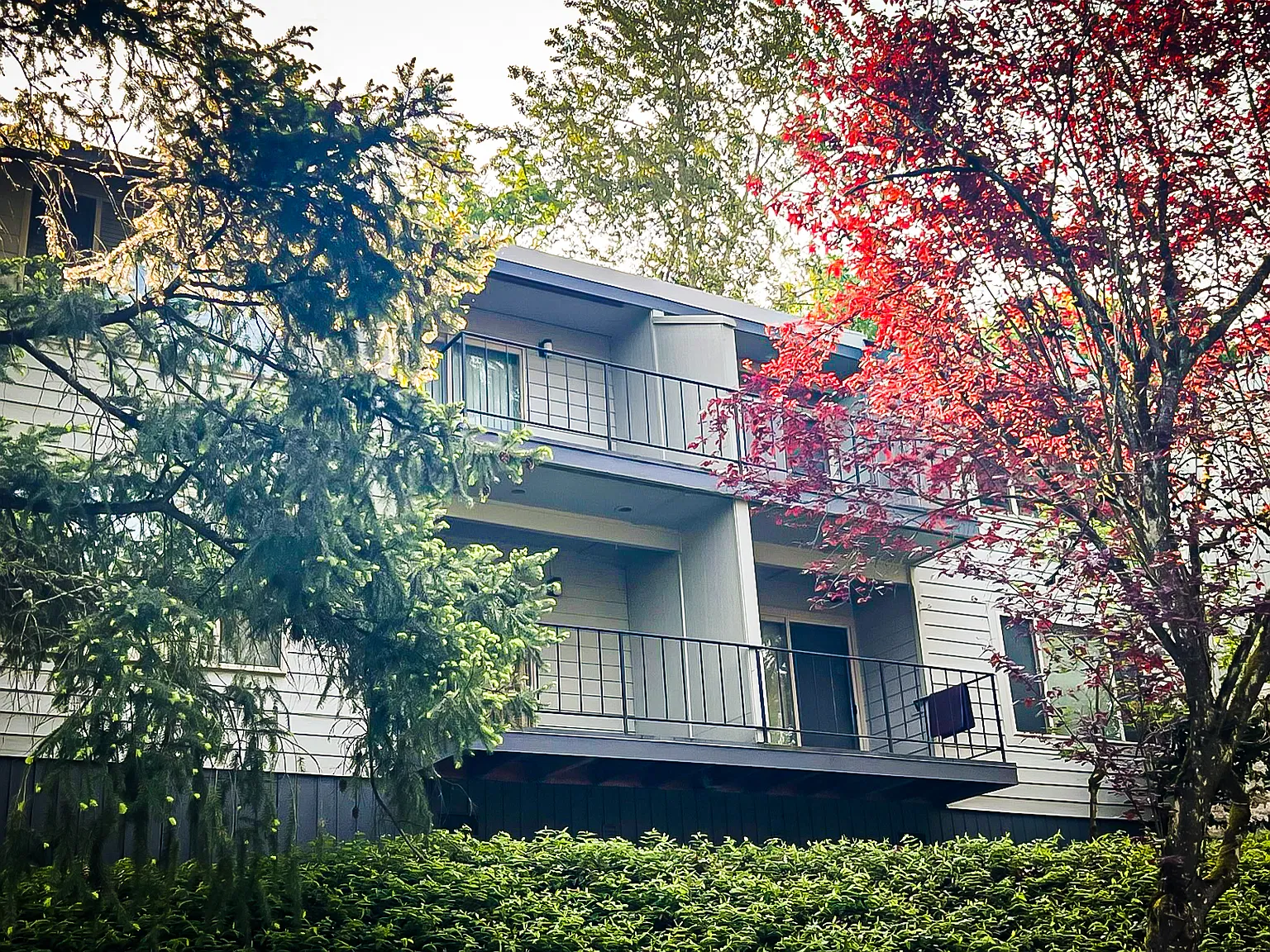 2 bed, 880 sqft, $2,295 — Photo 1