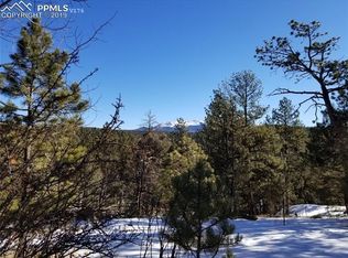 1006 Pinewood Rd, Florissant, CO 80816