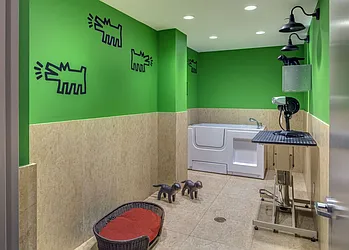 Rented by Halcyon Management Group LLC