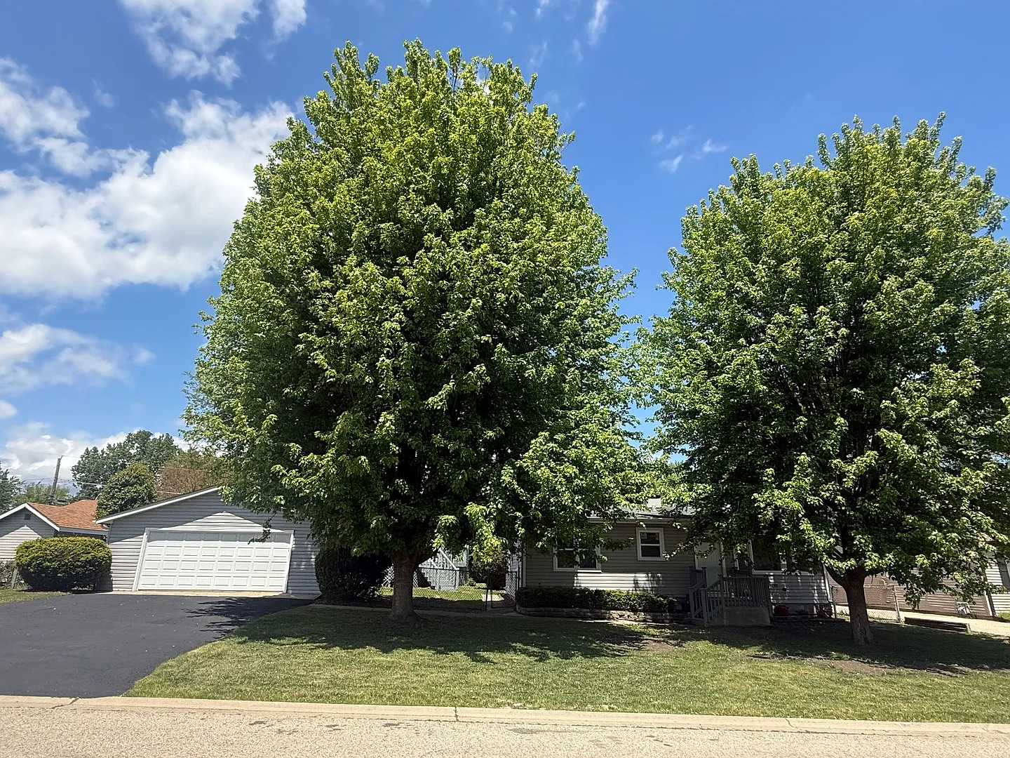 528 Ivy Ct photo 1