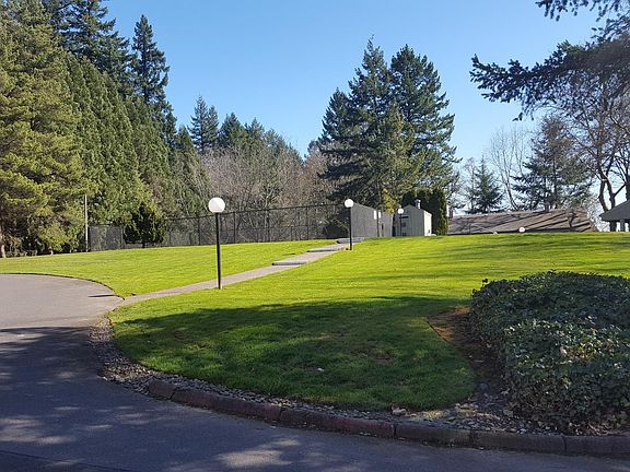 Front Yard View
