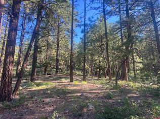 280 Hillside Cir, Bayfield, CO 81122