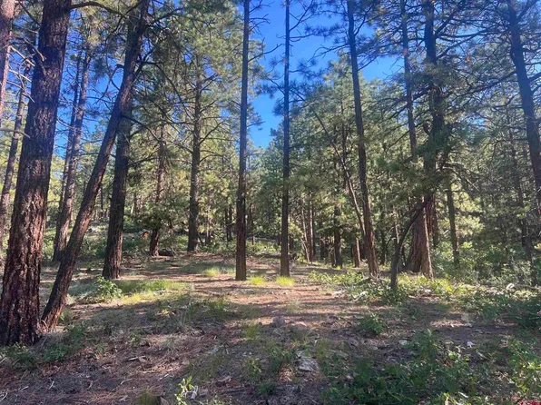 280 Hillside Circle, Bayfield, CO 81122