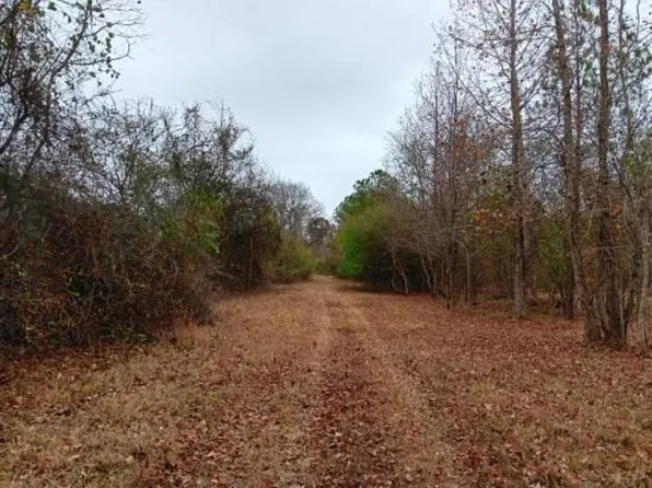 0 County Road 90, Waterloo, AL 35677