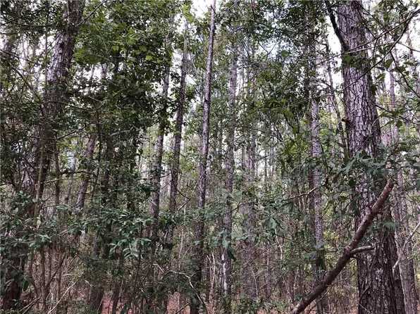 Lavinghouse Rd, Bush, LA 70431