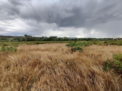 93 Sunburst Dr, Cody, WY, 82414