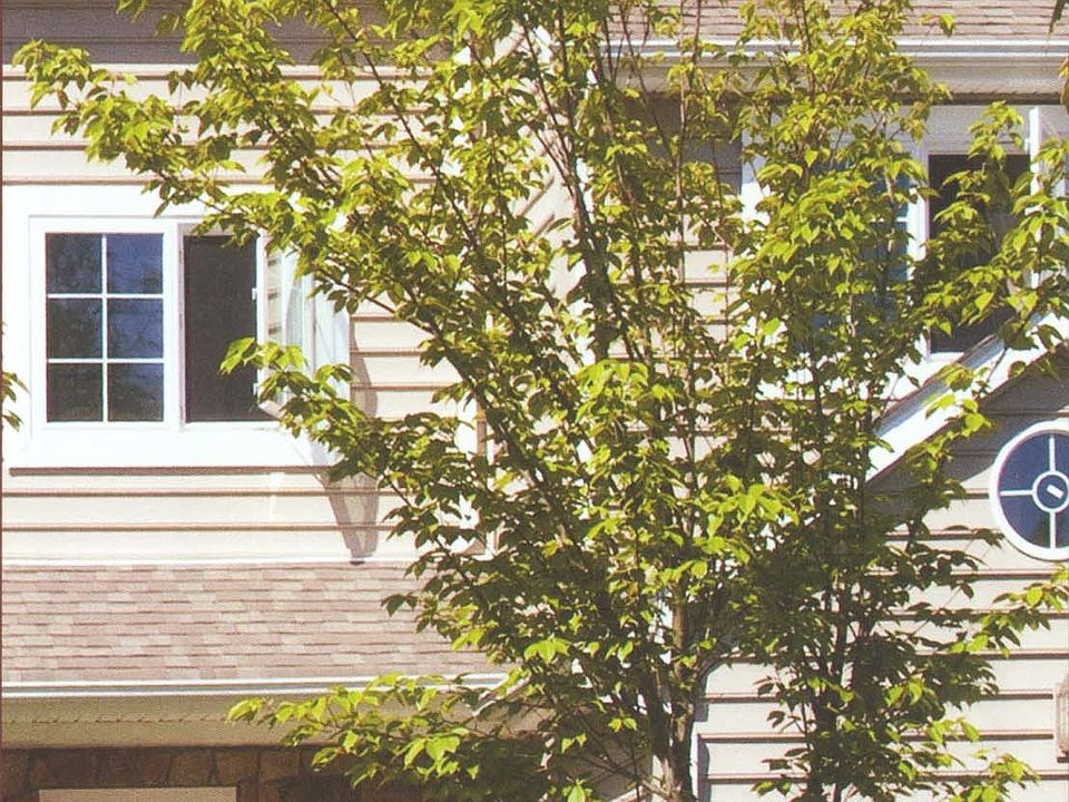 2nd image of 41 Rolling Ridge Rd