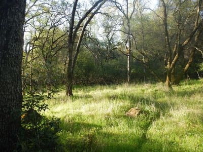3720 Upland Dr, Auburn, CA, 95602