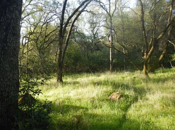 3720 Upland Dr, Auburn, CA 95602