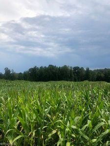 00 Adams Ridge Rd, State Road, NC, 28676