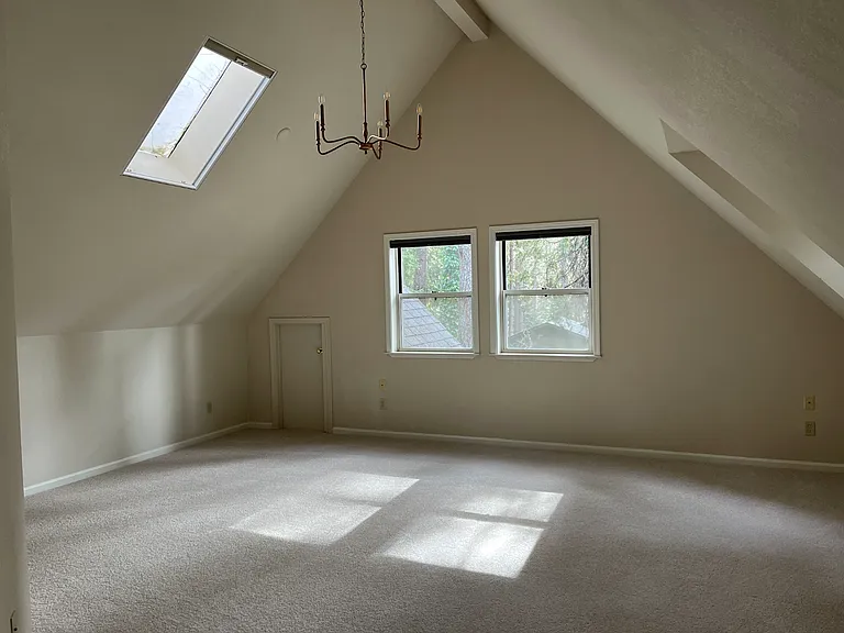 11551 Forest View Dr — Photo 9