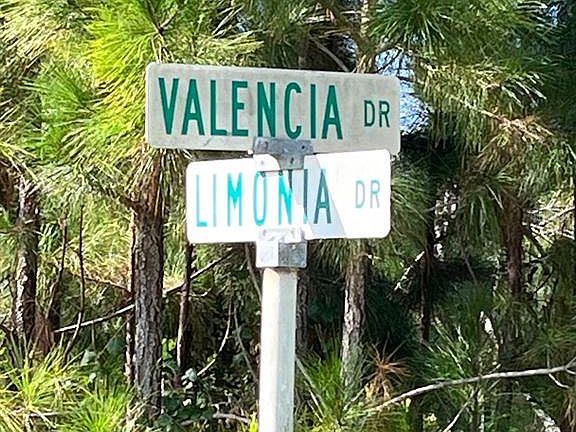 5th image of 211 VALENCIA DRIVE LOT 6