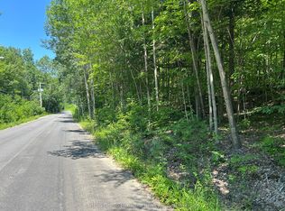 0 Tally Ho Winter Park Rd, Lake Of Bays, ON P1H 2J6