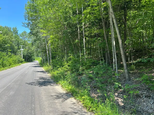 0 Tally Ho Winter Park Rd, Lake Of Bays, ON P1H 2J6