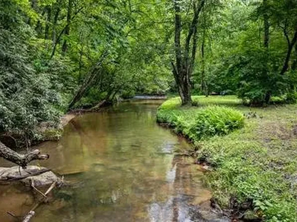 1 Newberry Dr, Mineral Bluff, GA 30559