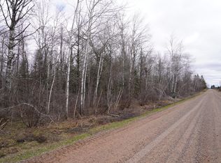 0 Adams Rd, Bruce, WI 54819