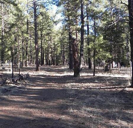 4th image of 975 E Larkspur Ln
