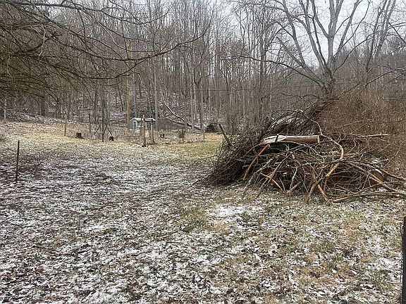 5th image of 232 Sierra Dr