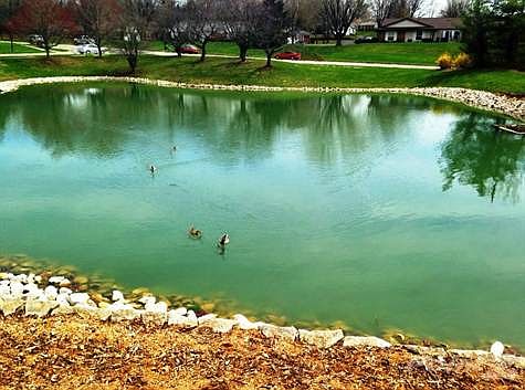 Pond