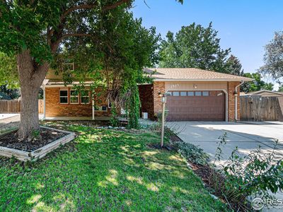 2503 Silver Fir Ave, Loveland, CO, 80538