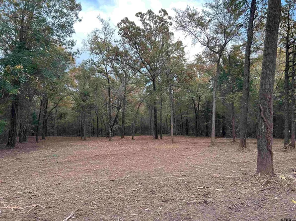 1858 Tbd County Rd, Yantis, TX 75497