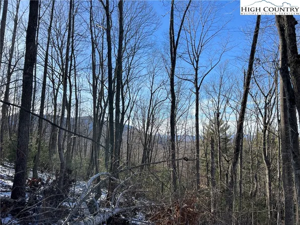 TBD (Lot 8) Woodland Ridge, Lansing, NC 28643